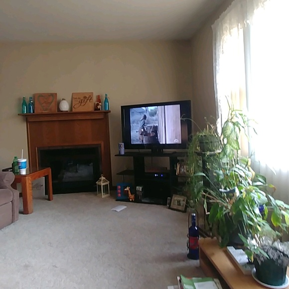 Meet your Posher, Michelle - Picture 1 of 1